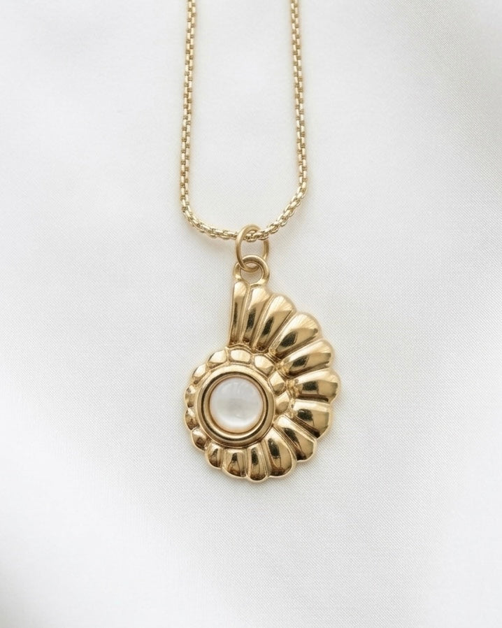 Sea Shell Necklace