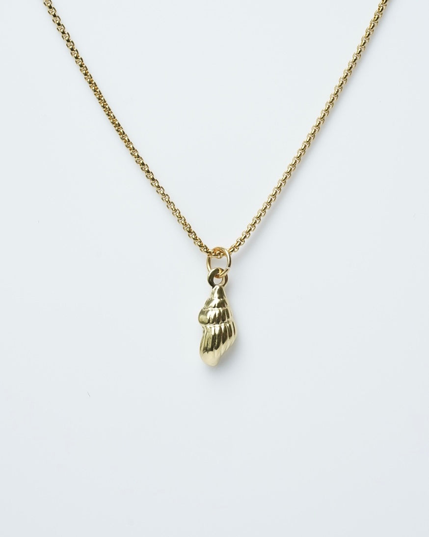 Gold Shell Necklace