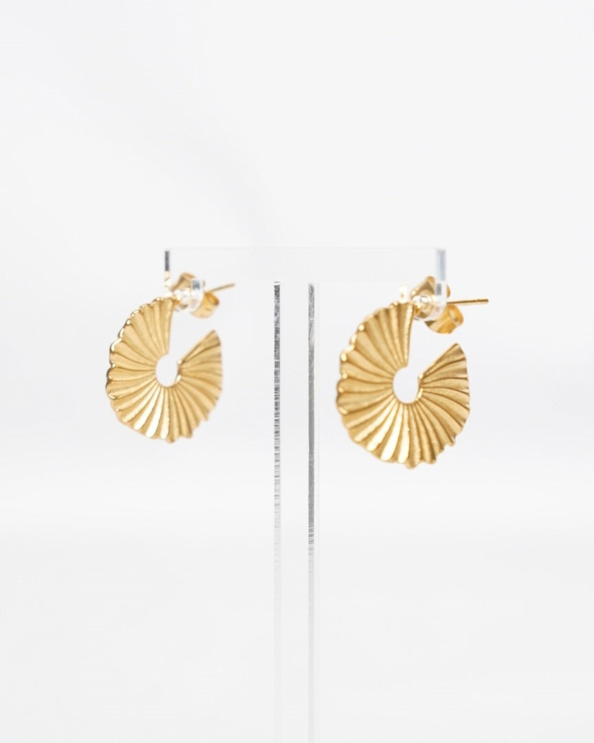 Golden Lines Hoops