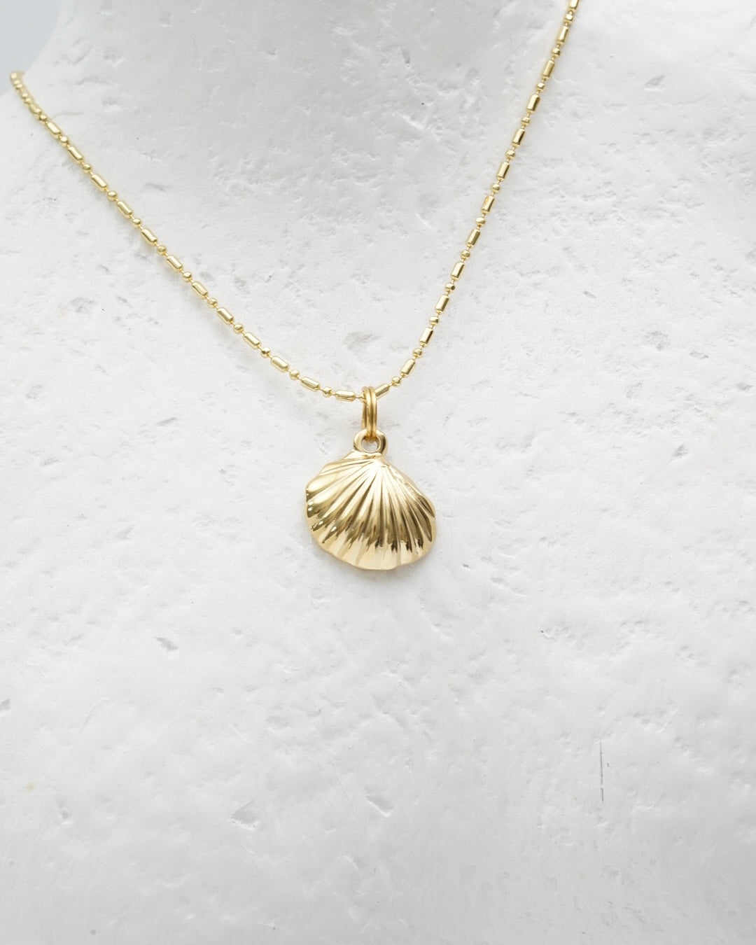 Large Shell Necklace