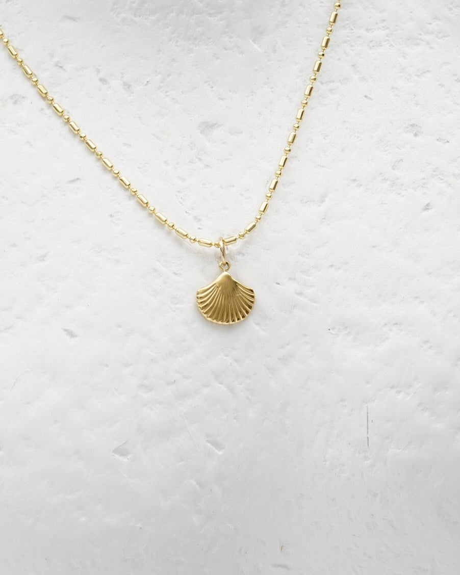 Small Shell Necklace