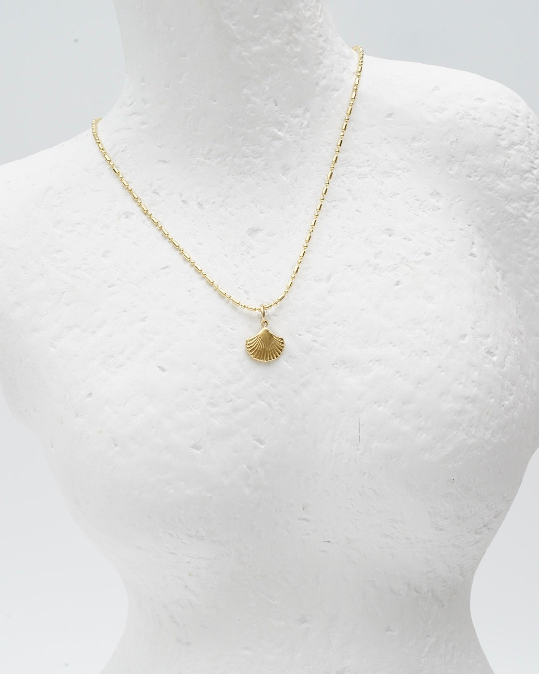 Small Shell Necklace