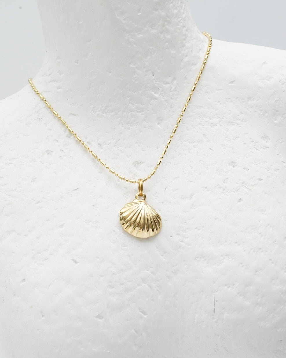Large Shell Necklace