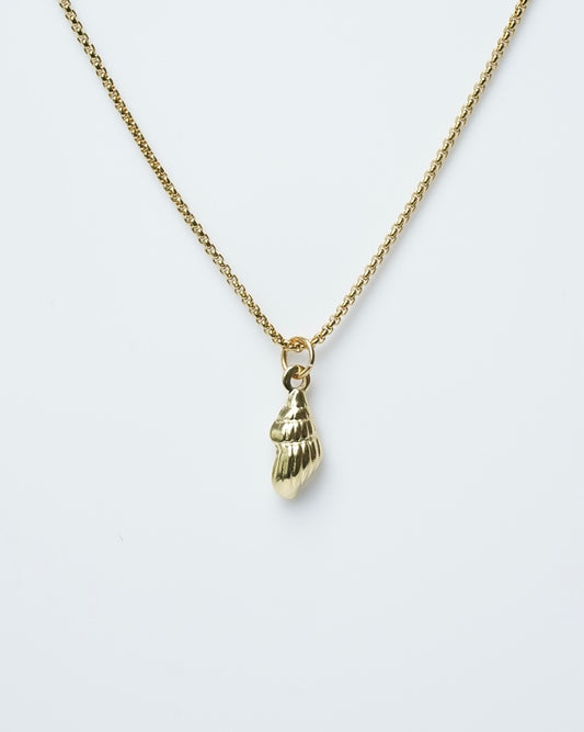 Gold Shell Necklace