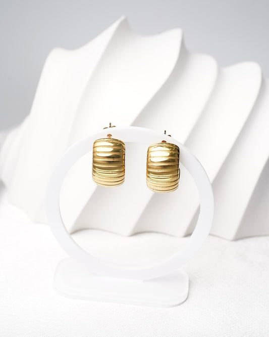 Tan Earrings