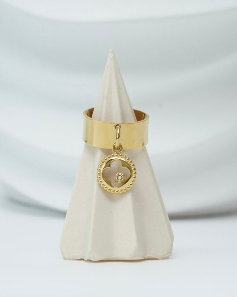 Ari Ring