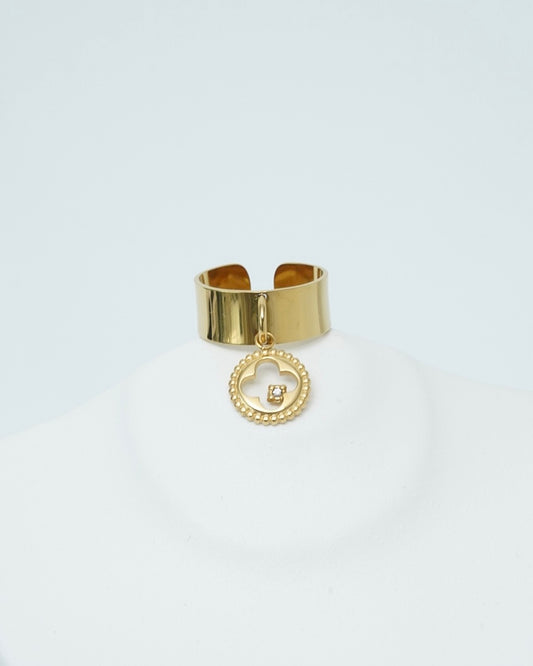 Ari Ring